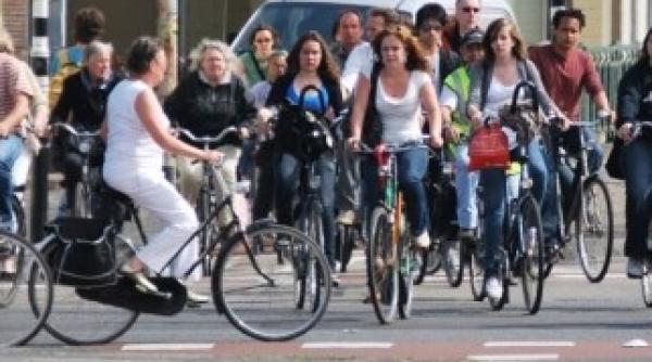 mita electorala biciclete chinezesti pentru electoratul pdl afirma olguta vasilescu