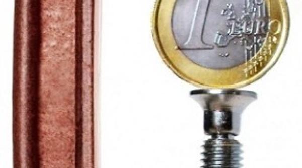 euro ar putea fi adoptata la 1 ianuarie 2015 dar va circula in paralel cu leul pana in decembrie