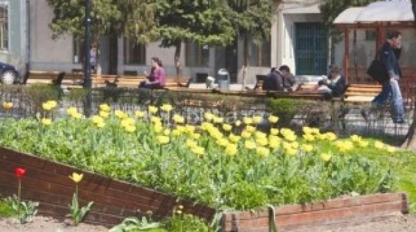 sunt sanse pentru ameliorarea vremii