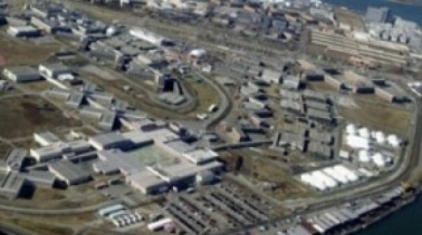 strauss kahn pazit la rickers island 24 de ore din 24 sa nu se sinucida