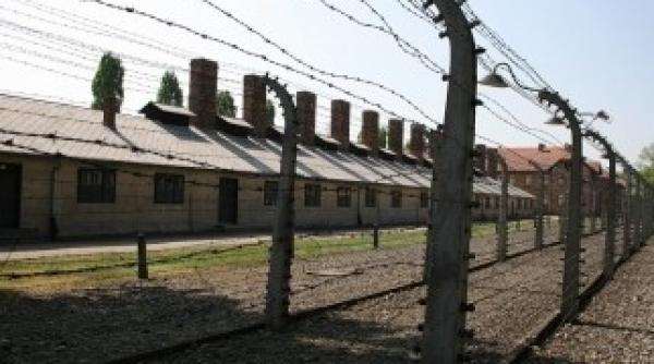 si francezii fura sarma ghimpata de la auschwitz