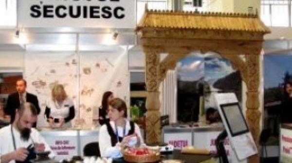 reprezentanta tinutul secuiesc de la bruxelles functionala de miercuri dimineata