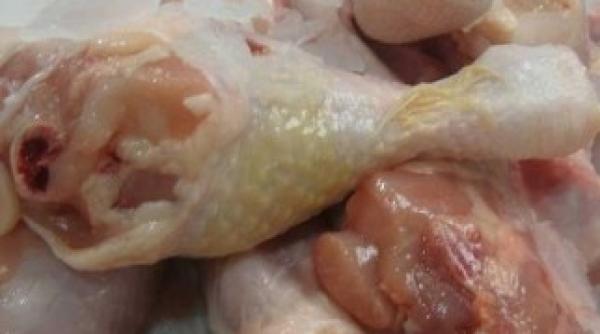 resturile de pui aruncate la marginea unei paduri sunt adunate de rromi si duse la saormeriile din capitala