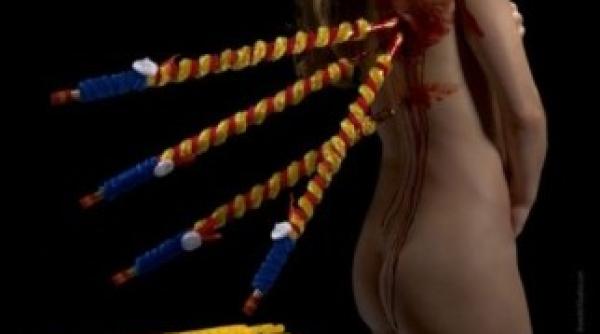 nuditate si sange intr o campanie peta pentru interzicerea coridelor