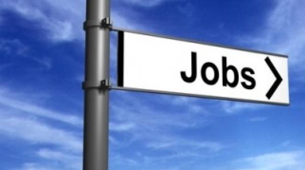 job urile din ue interzise romanilor afla cum poti totusi sa te angajezi in strainatate