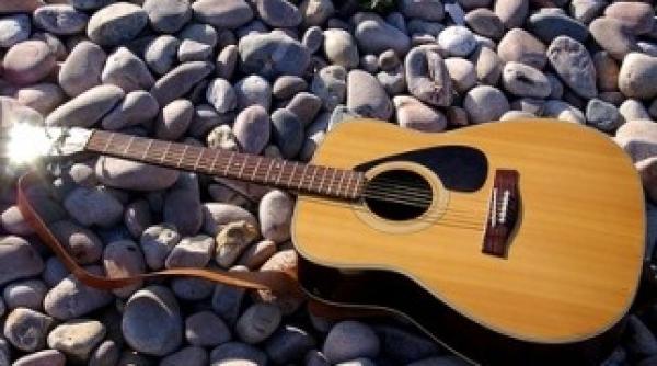 festivalul folk you florian pittis intre 21 si 24 iulie in vama