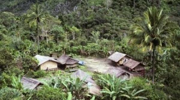 englez strapuns cu sageti iar iubita lui violata de seful unui trib in jungala din papua noua guinee