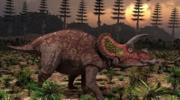 cornul unui dinozaur a confirmat teoria extintiei in urma impactului unui asteroid cu pamantul