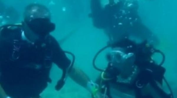 nunta subacvatica in cancun video