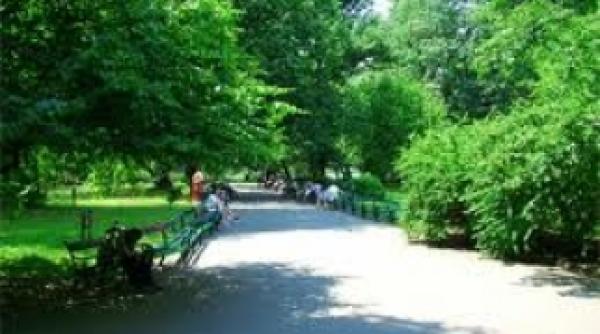 aleile din cismigiu au primit nume de carti intr o campanie a editurii litera