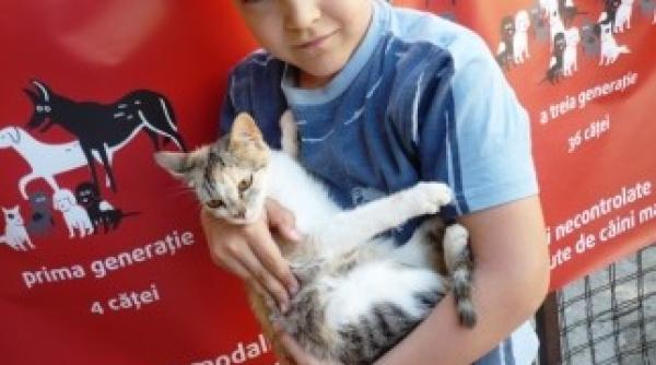 ziua internationala a eliberarii animalelor sarbatorita in capitala printr un mars si filme