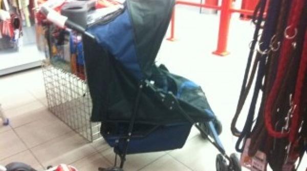 fite cu patru labe au aparut carucioare de plimbat cainii lenesi galerie foto