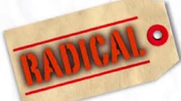 un rus a fost condamnat la inchisoare pentru un joc online extremist