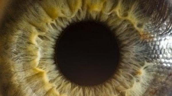 vezi imagini uimitoare cu detaliile ochiului uman galerie foto