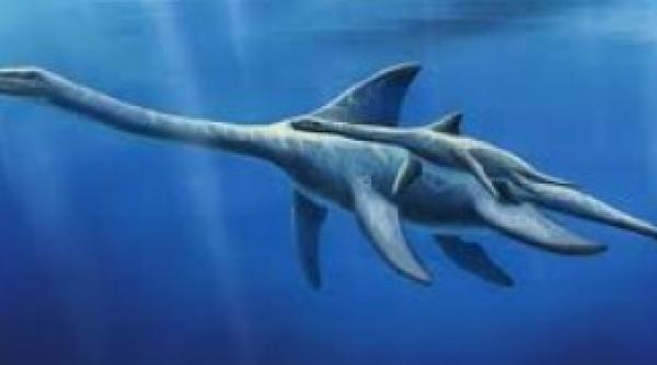 o reptila marina veche de 78 de milioane de ani expusa la los angeles