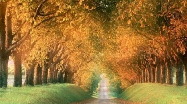 august si septembrie temperaturi peste mediile multianuale lunare in zonele estice si sud estice