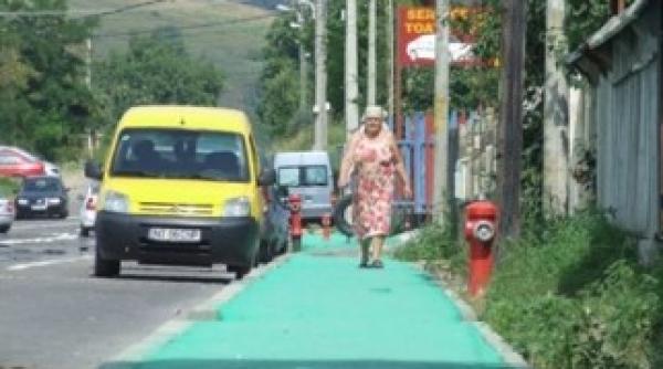 elena udrea pdl ar putea renunta la culoarea portocaliu la alegerile din 2012