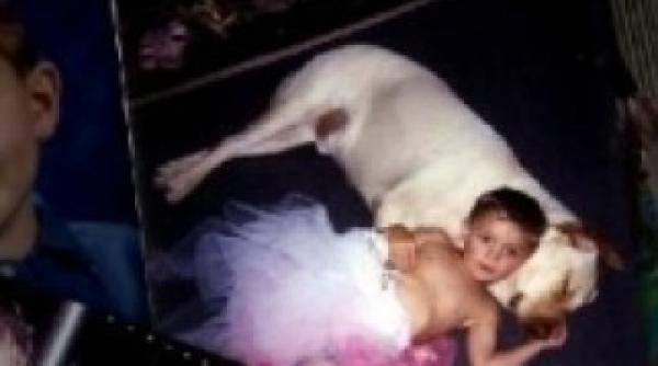 transsexual la 10 ani parintii il lasa pe micul jack sa fie fetita