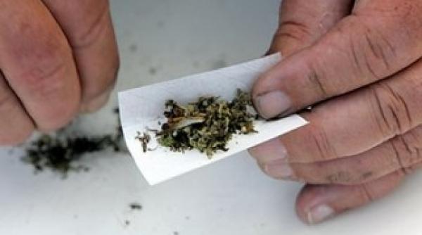 boc legea etnobotanicelor dezbatuta ca urgenta in sesiunea parlamentara de toamna