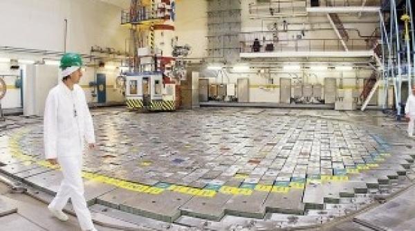 de ce este franta suparata pe romania ce membru al guvernului isi va lua tainul de la seul