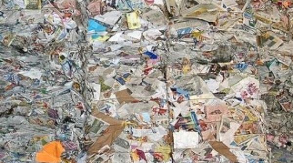 romania pe primul loc in europa la producerea cartonului si a hartiei igienice din maculatura