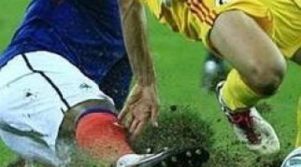 pdl cere comisie parlamentara de ancheta privind national arena