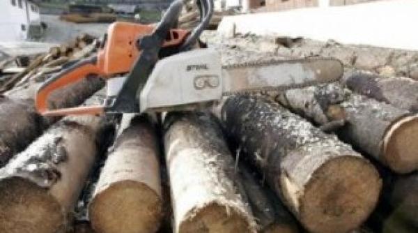 romanii care au o drujba un scuter sau trei vaci pierd ajutoarul la incalzire