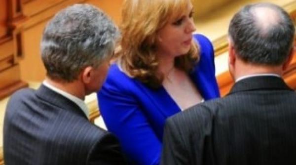 psd va depune plangeri penale impotriva robertei anastase ioan oltean si daniel buda