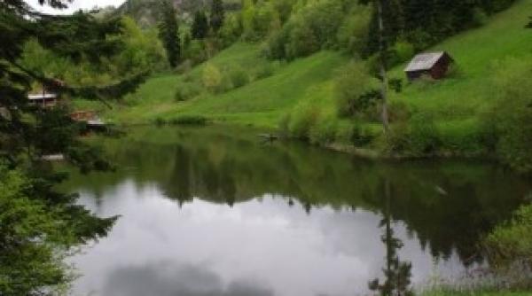 rosia montana gold corporation obligata sa plateasca garantii intiale pentru ecologizarea mediului post exploatare la rosia montana