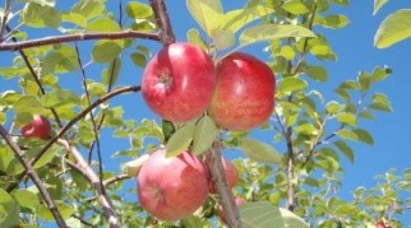 weekend cu vreme frumoasa