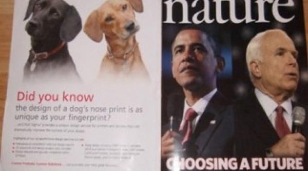 cele mai prost amplasate reclame din istorie galerie foto