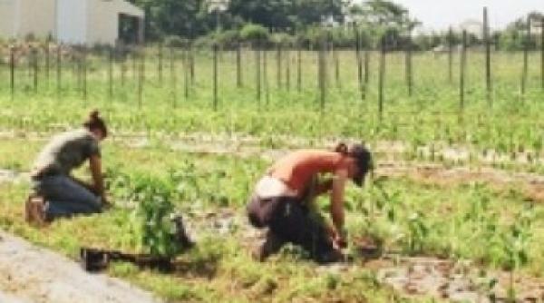 psd belgia face eforturi pentru ridicarea obstacolelor de pe piata muncii pentru romanii din belgia