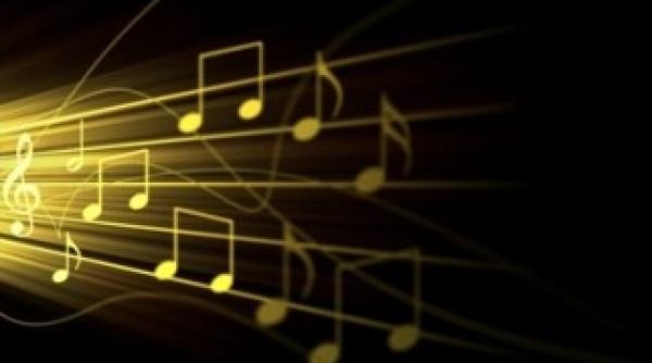 noi taxe pentru muzica ambientala ce afaceri platesc cel mai mult