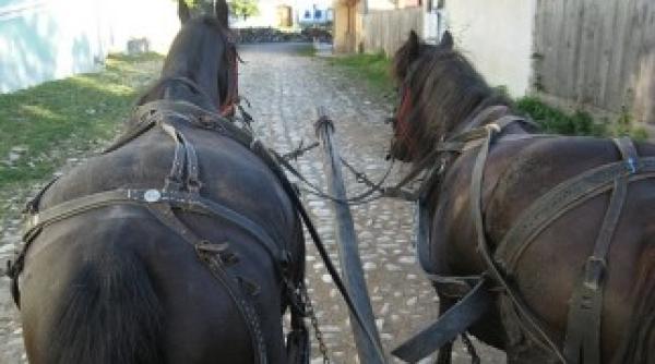 o mie de comune si orase mici din romania sunt in faliment cu conturi blocate si fara bani de salarii