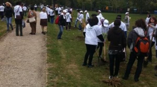 cezi cum arata parcul izvor dupa ce voluntarii au plantat 320 arbori