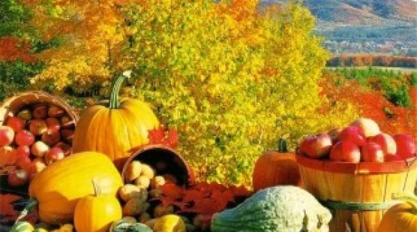 weekend cu vreme frumoasa dar rece dimineata si seara