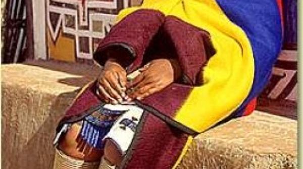 pedeapsa femeile care nu voteaza sa nu mai aiba parte de sex propune o politicieana din zimbabwe