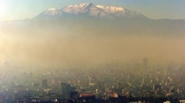 smogul din orase ii face pe copii mai prosti