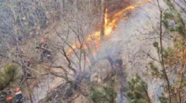 trei incendii in sapte zile in padurea de pe varful caldarusii din muntii rodnei