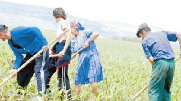 fermierii britanici ii prefera pe agricultorii romani si bulgari