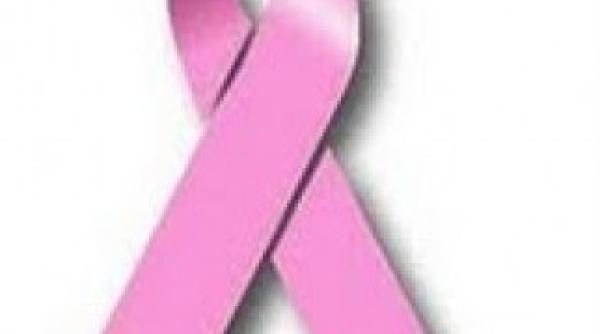 femeile sunt convinse pe retelele de socializare sa emigreze chiar si un parlamentar a acceptat provocarea