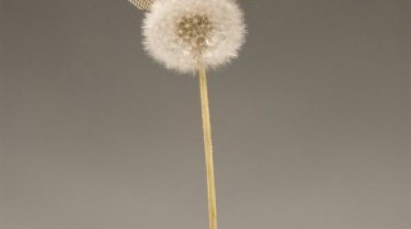 cel mai usor material din lume foto