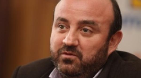 viceprimarul timisoarei vrea dezbatere publica privind soarta cainilor comunitari