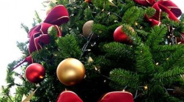 in parcul crangasi va fi amplasat un brad cu 11 000 de beculete vezi cand se impodobeste