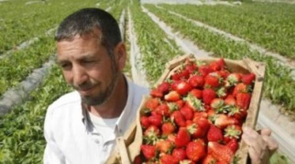 cum te poti angaja intr o tara care are restrictii de munca pentru romani