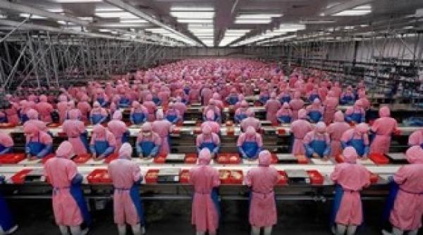 fabricile chineze au cea mai mica productie din ultimii ani