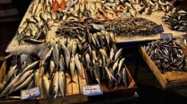 vanzatorii de peste din obor au ramas fara marfa pentru ca au mintit in acte