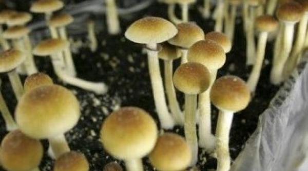 un cunoscut dj brasovean retinut de politistii antidrog