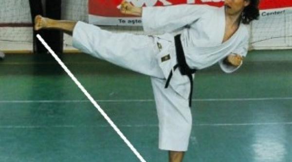 strainii spun despre inna ca are capul gol