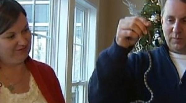 vezi ce a gasit o familie in bradul de craciun video